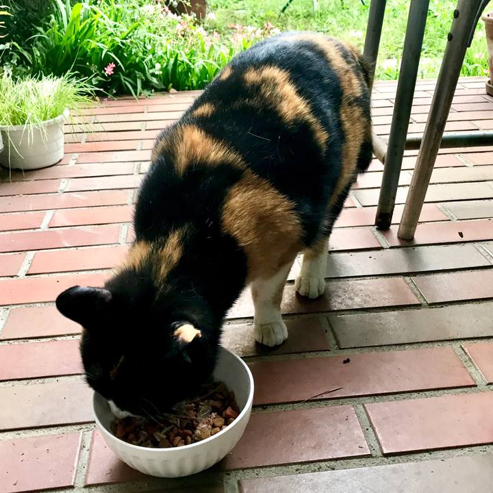 D66764e4 633e 475b 9ed0 e18a1d928b1b