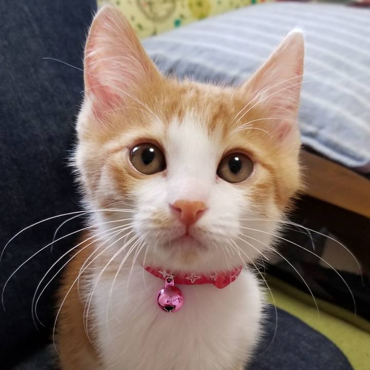 D667c1f9 138d 476e b485 1b00d4cda2a1