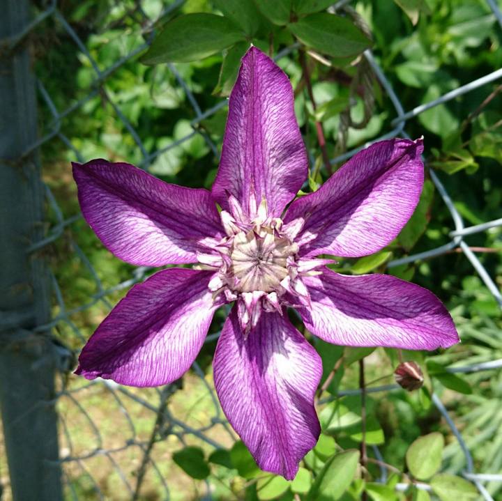 D6680ab7 bf38 4382 b0e8 d6a2acc34731