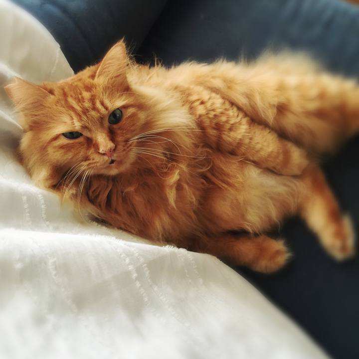 D6681a00 c47e 464b b7f2 c54891c4938c