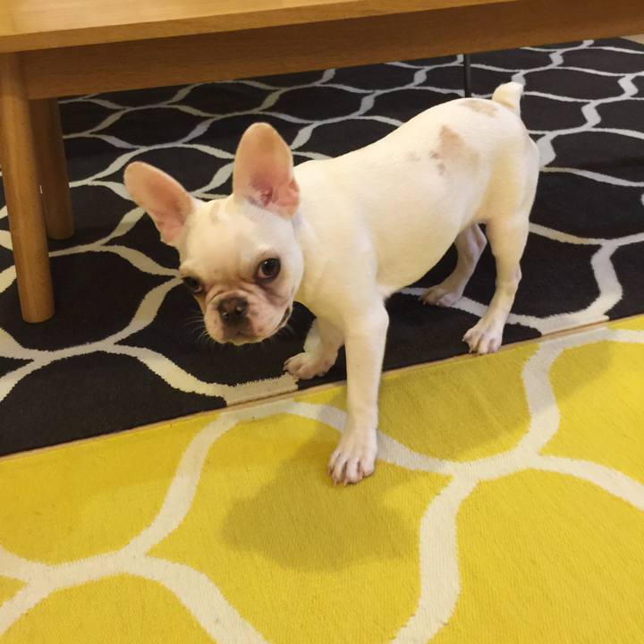 D6689b9b 6085 46c0 b938 c0cd2b2c3929