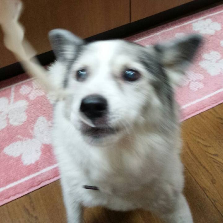 D668c15f 8e13 4015 bf97 66c3eec11baa