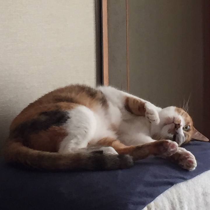 D66972f8 7a44 46d3 bcf5 d44c54aef0f5