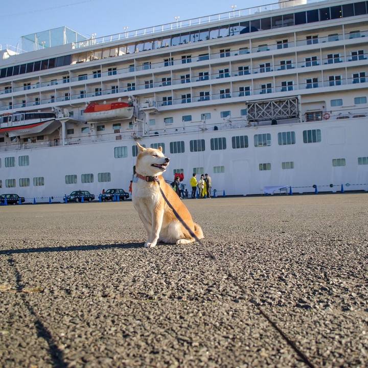 D66a2963 96ff 434e aa17 16c3c700d8f1