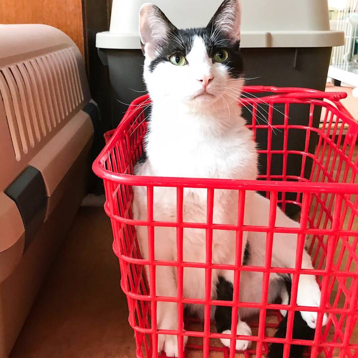 D66a3c68 6bd6 4915 a545 c4eb1570861d