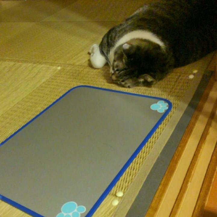 D66bd9a8 d3c4 436f a7c1 66b17801e235