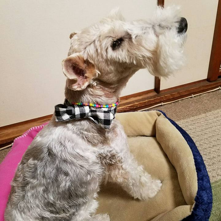 D66c6c32 2a7a 4b32 8069 8f27a2d765f2