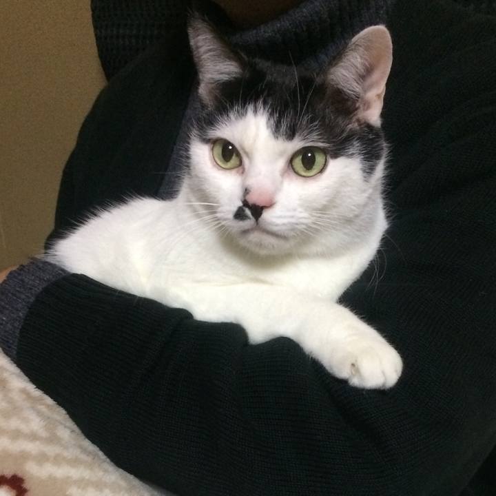 D66c8b76 8453 4983 9dec 8fe3a413dcfd