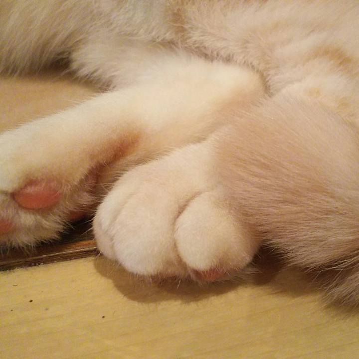 D66d2120 dd58 46e8 bcaa 87dcc697d5fd