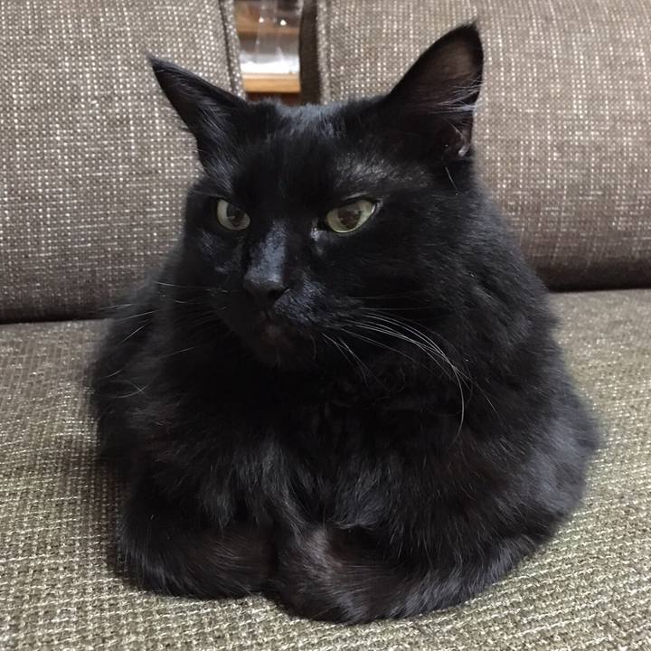 D66d2270 0eee 4a5f bcda 98f1e85c1d8e