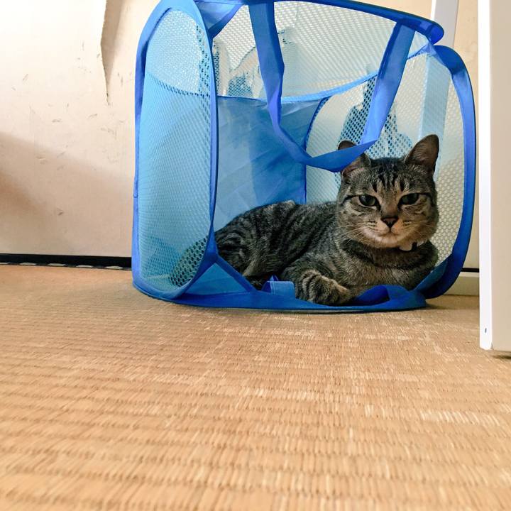 D66d439a a2a0 4820 afb1 878f770118e4