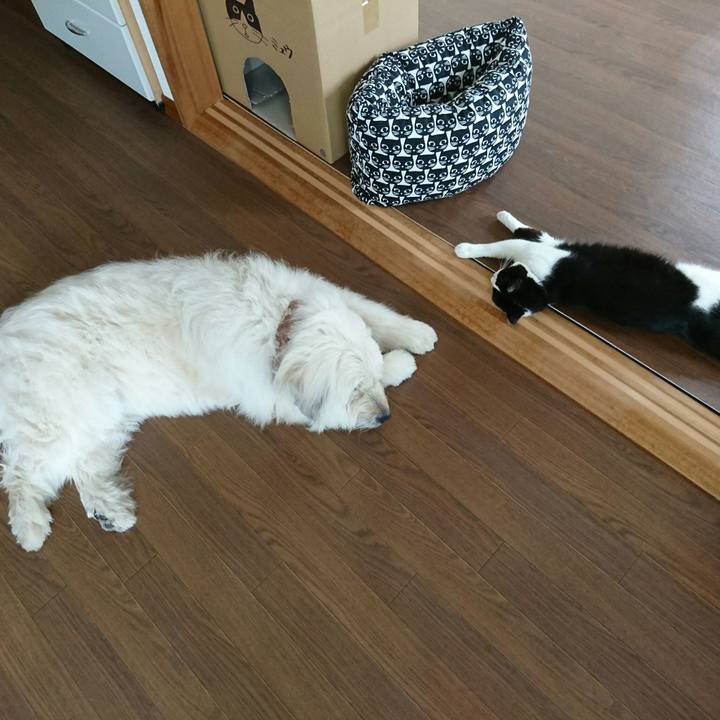 D66d4983 e84b 4799 bff3 d4c2ed3e3a11