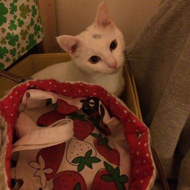 D66d6648 d221 4ee2 b339 977bb39ec7d4