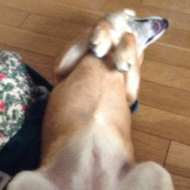 D66e951b f37d 476e 861f ffdea2108b99