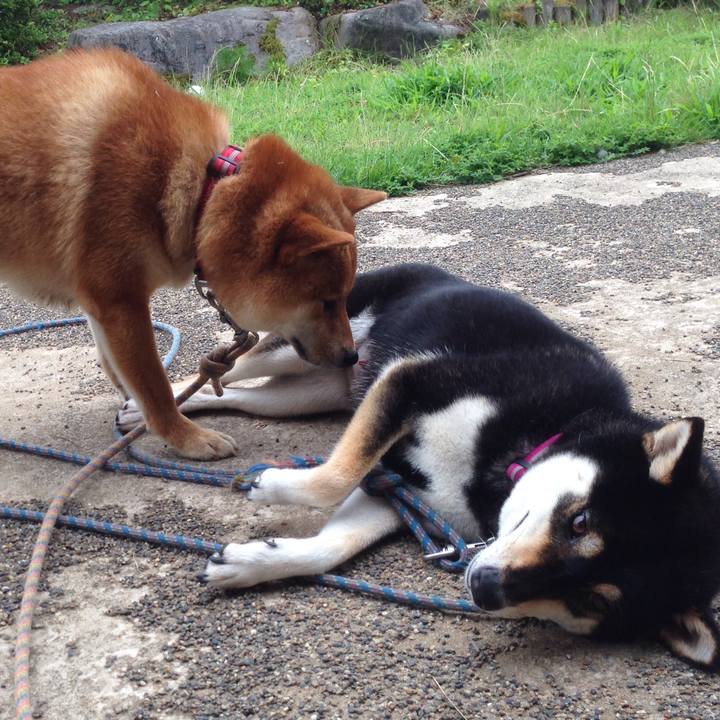 D66ee3ac 546c 4b6e b471 db6914c9102d