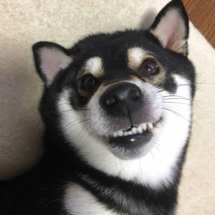 D66efcdf 2d87 4c2e a496 1f6ddece2941