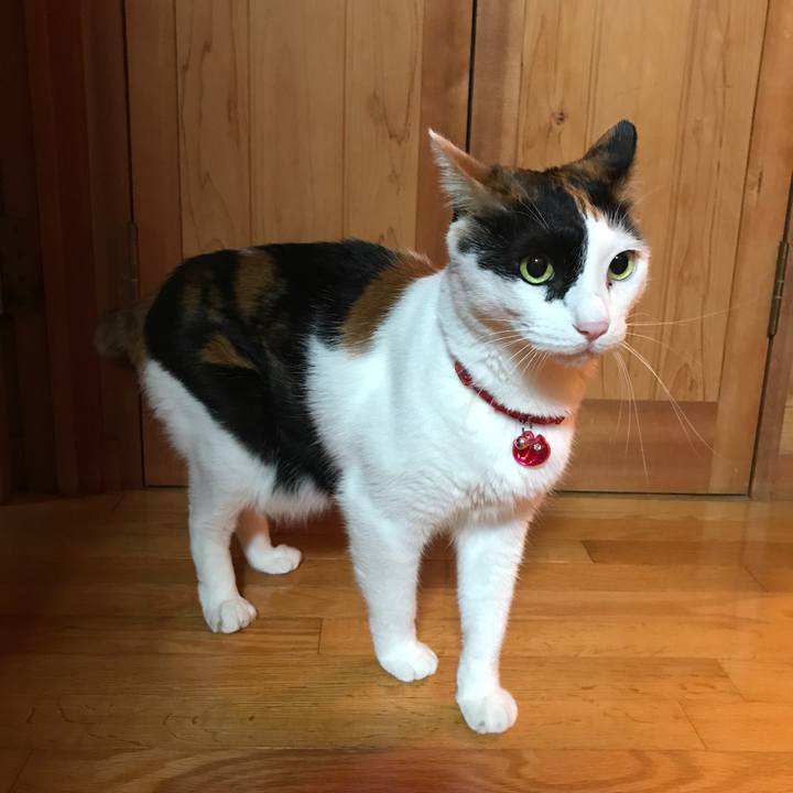 D66f594b 8d86 4d3a 9aa4 aea20134e3de