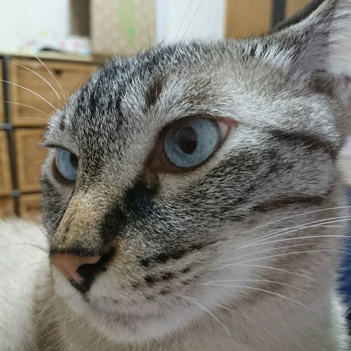 D66f6e6c 44df 4ccb 9180 fa8becdad90b