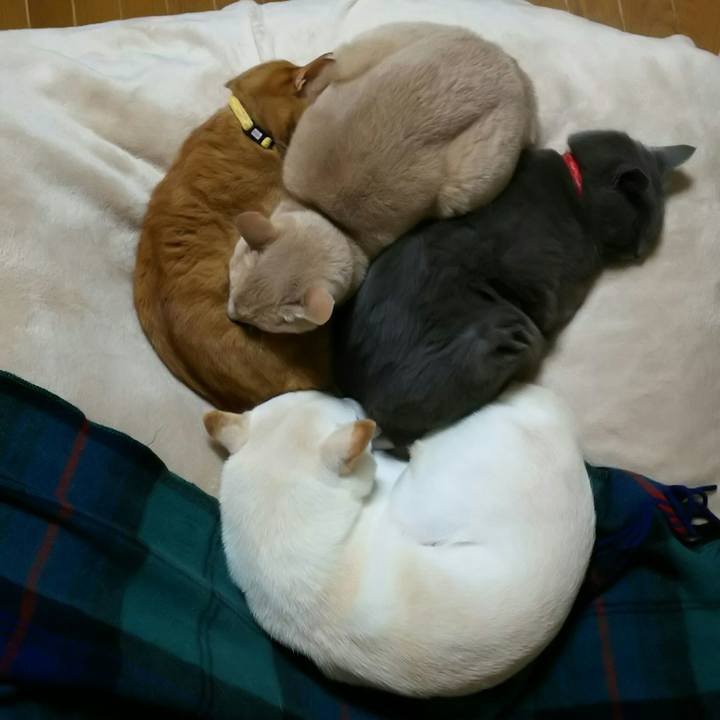 D66f7420 9910 497c b8f2 571f429bd364