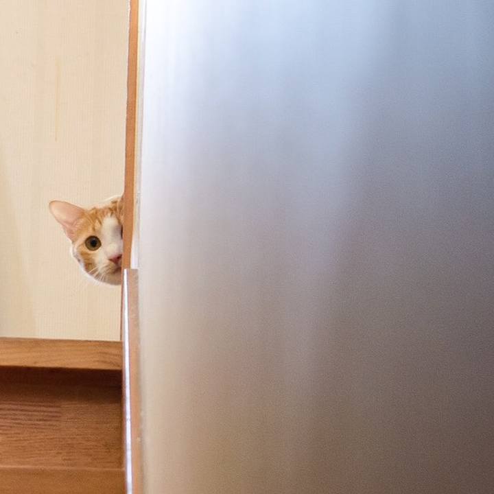 D670276e 4747 4a34 90ab 8ec0203f6145