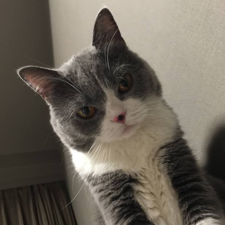 D6705400 397a 4af6 bc97 d6e5d2707a02