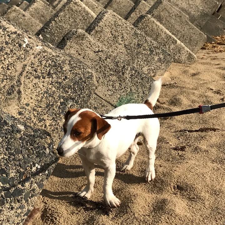 D6709737 0013 4dc2 b2e7 1fb36de3a902