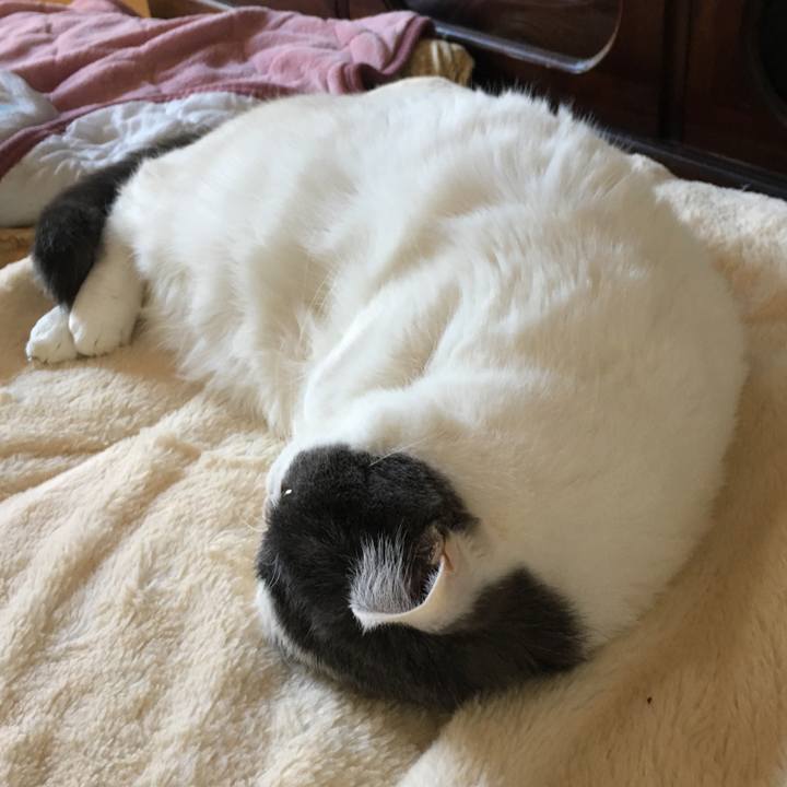 D6709dca 1c0b 42b5 a0c6 1ad9a7ea6ea8