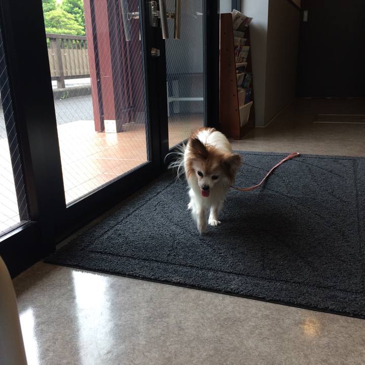 D6717897 3bd2 4513 9a95 f3c3ff4e0619