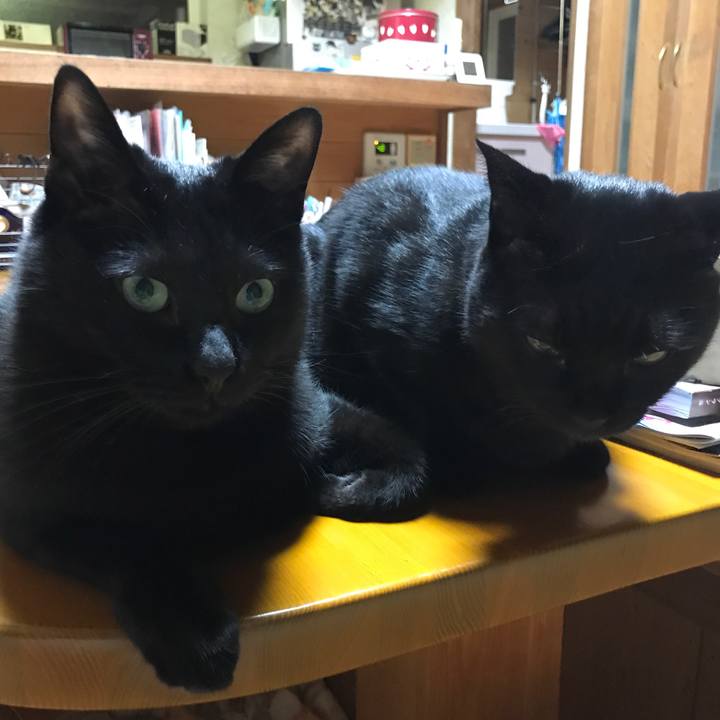 D6719c11 4c8e 4e79 9bd8 389266f4c376