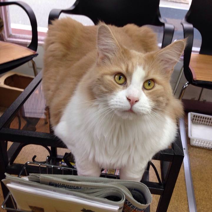 D6721ead a92a 41a0 8ad5 ccc6f7a60938