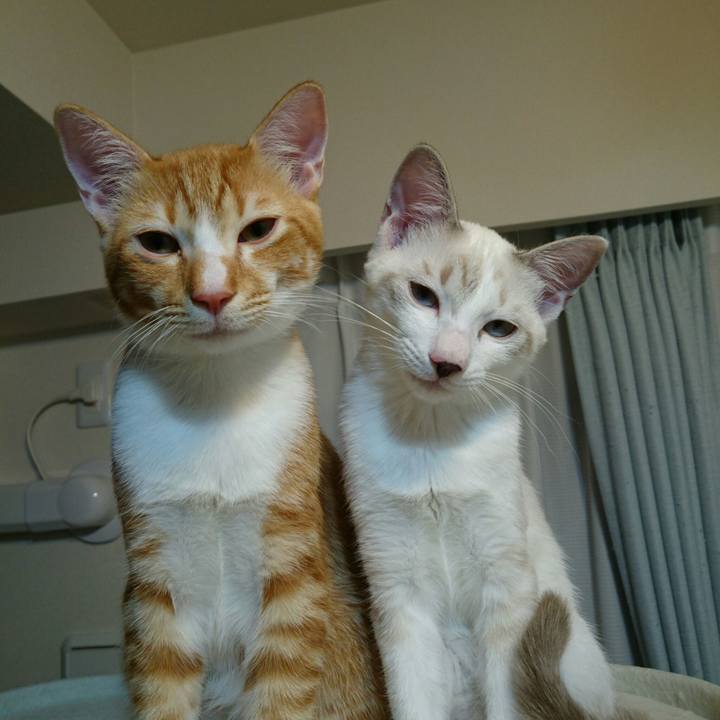 D672b991 570c 4129 809a 8bd49fdf6cac