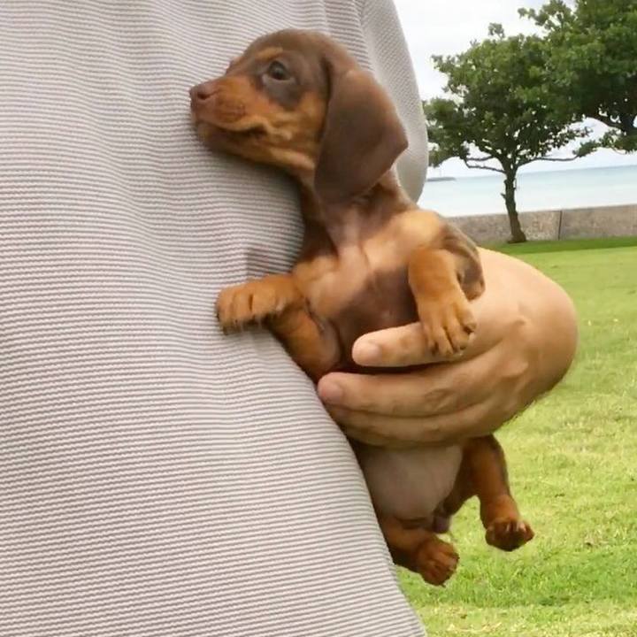 D673a5e6 d820 40d1 97b9 1ec632864785