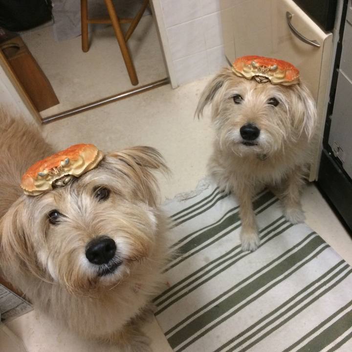 D673a93f c565 4653 89bf af0358a3c359