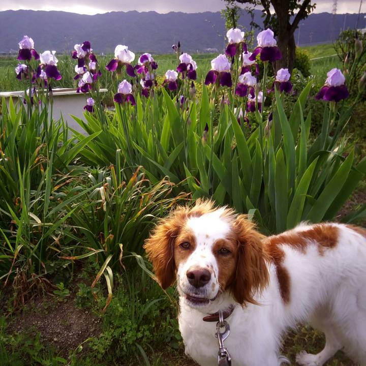 D673b97e f59a 43fd 8537 b8f48a6d3c5d