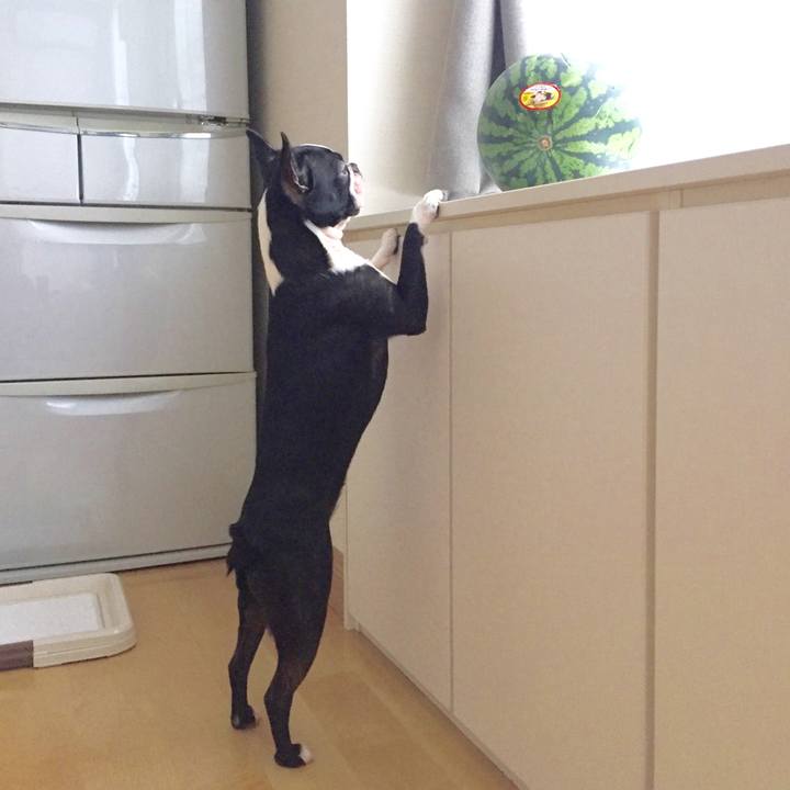 D6741b8e f85a 4ed3 87ac 667876f1f9e2