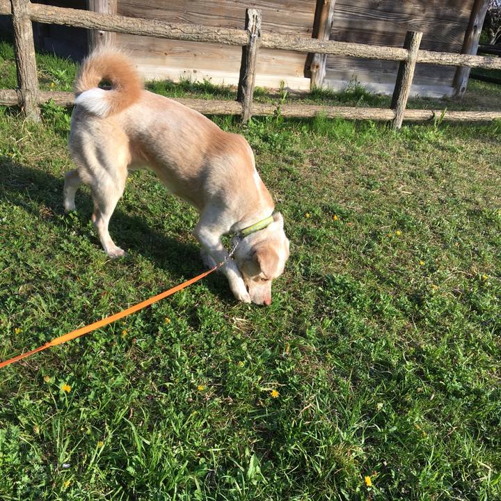 D6741e20 cb84 4534 a3d5 df8d2a4cd2e3