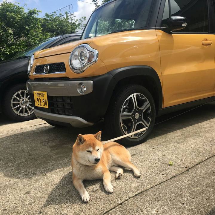 D6743e02 0ea9 409a b264 f8d25847fe0c