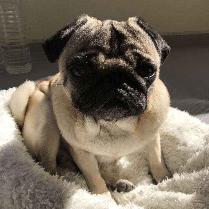 D676ec8d 4af4 41fc 8d06 7df60cae12f1