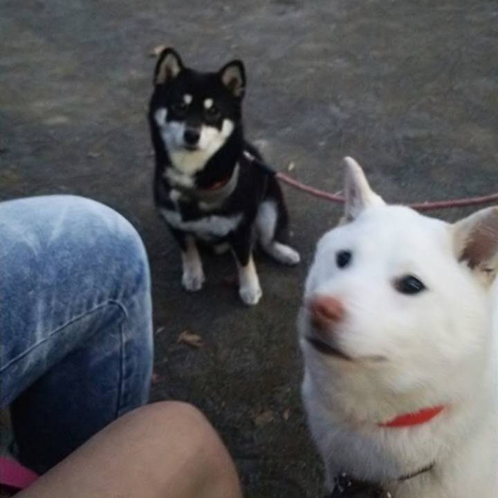 D6770558 7483 4db5 bde3 590b05576518