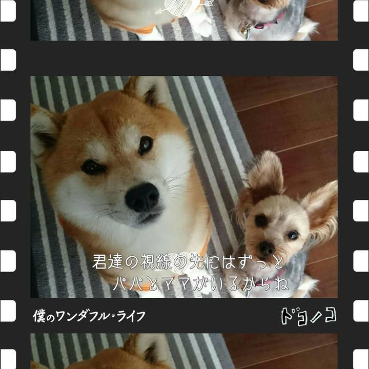 D6773c09 d325 4ea7 94c8 160d5240c01c