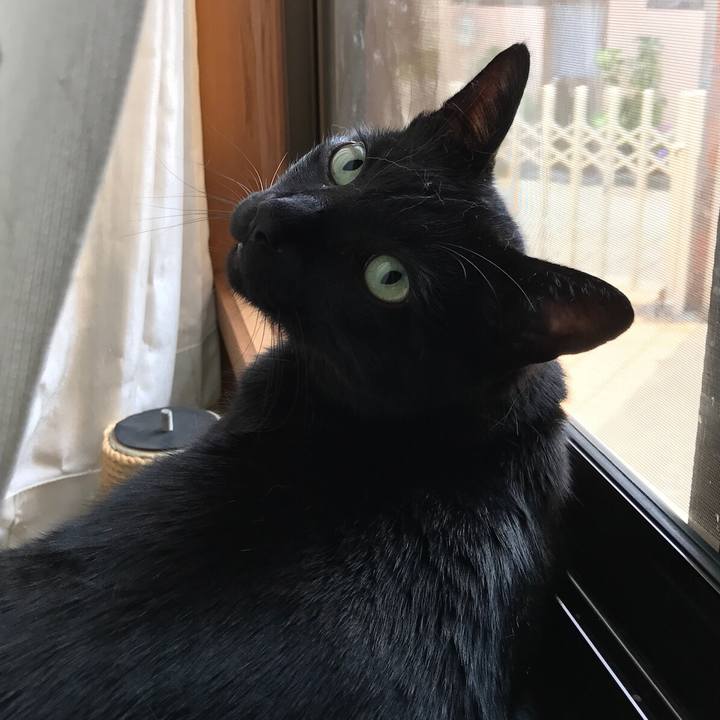 D6774580 eb0a 4f26 bf81 9f2ece997313