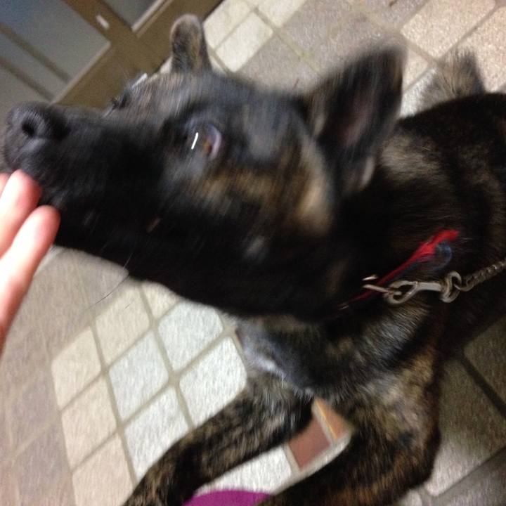 D677b193 d3b2 49f1 b905 2fc9cf57da1b