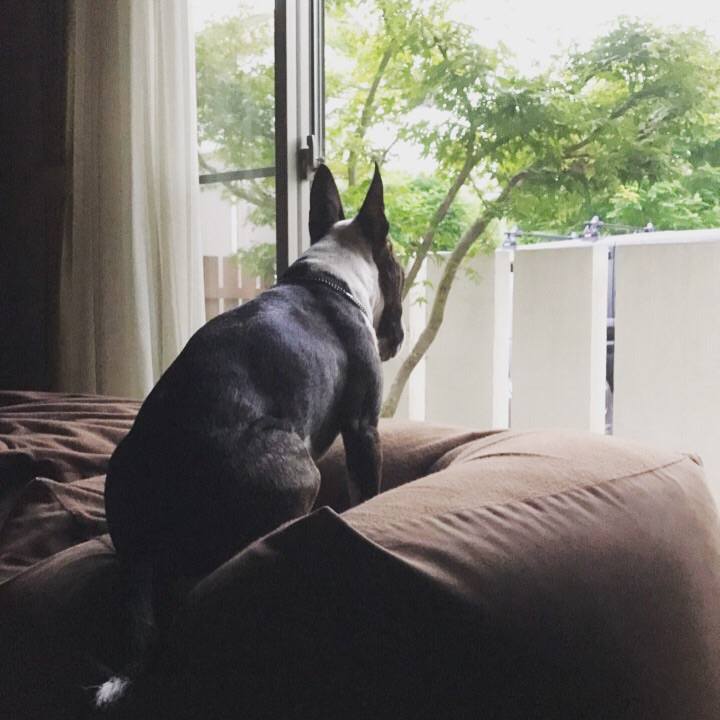 D677dc52 f1b5 417b a44f b2797d72c6c7