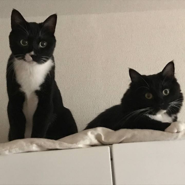 D677e8c1 6cd4 4988 92d4 2ffc5c5a1f99