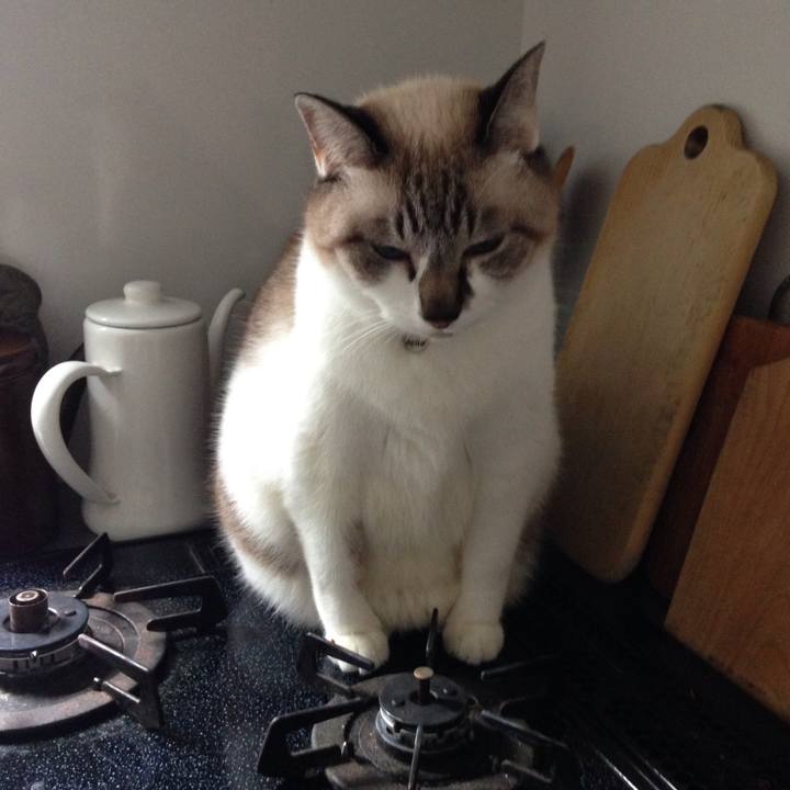 D6781bcf fcf3 4c75 b1d4 99f1109afccb