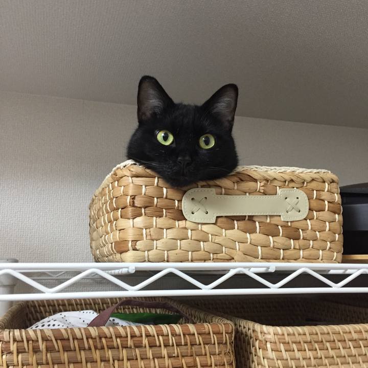 D6781d4a c304 4cd4 98e3 25331d563770