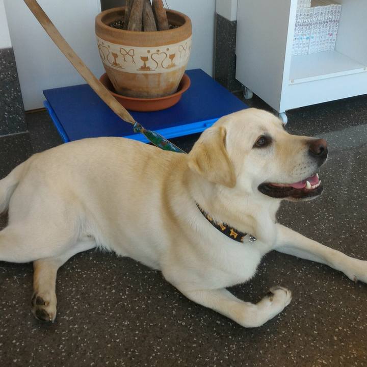 D6782522 da55 4ab1 8d3f 0f41ce43871a