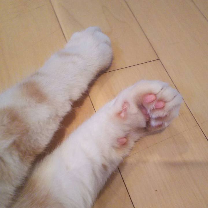 D6788ef4 7205 4a2b 87a7 b53afd6ad69a