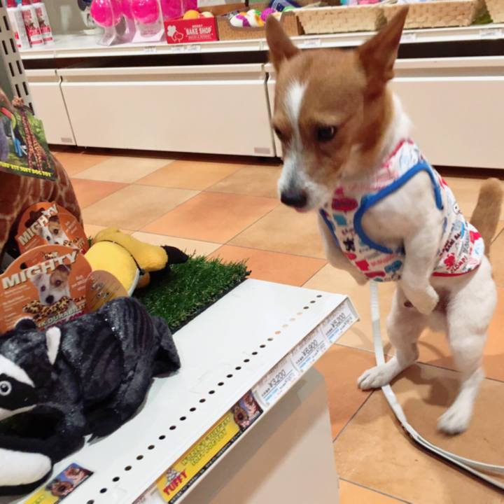 D678b55d 9d6b 4a1b 8781 94de50315f99