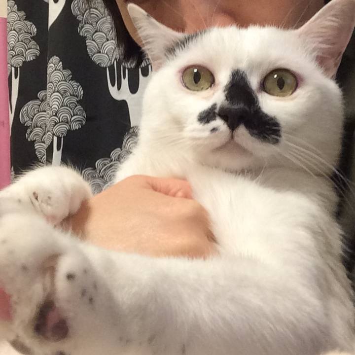 D6790da1 8234 4223 b361 a3e7af47eaab